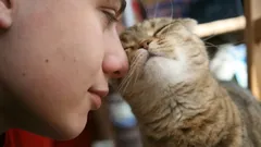 猫は誰をもっと好きか、どうやって決めるのか